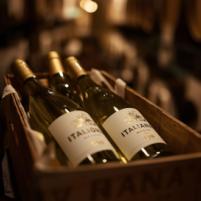 Box Vini Bianchi