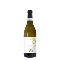 Moondusse Moscato Piemonte DOC