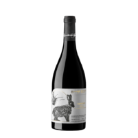 Sauvignon DOC Friuli