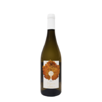 Virginia IGT Toscana Vermentino BIO