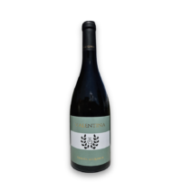 Valentina Sauvignon Blanc